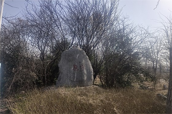 20230308河南一電力公司苗圃指導(dǎo)-2 20230308河南一電力公司苗圃指導(dǎo)-2