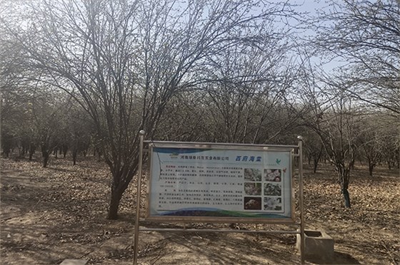 20230308河南一電力公司苗圃指導(dǎo)-4 20230308河南一電力公司苗圃指導(dǎo)-4