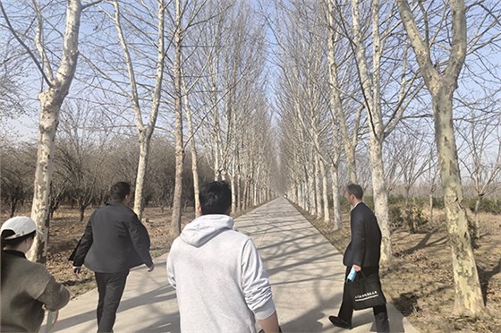 20230308河南一電力公司苗圃指導(dǎo)-5 20230308河南一電力公司苗圃指導(dǎo)-5