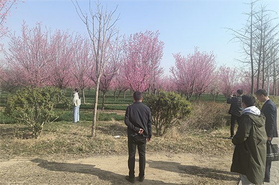 20230308河南一電力公司苗圃指導(dǎo)-11 20230308河南一電力公司苗圃指導(dǎo)-11