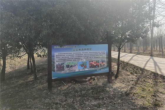 20230308河南一電力公司苗圃指導(dǎo)-13 20230308河南一電力公司苗圃指導(dǎo)-13