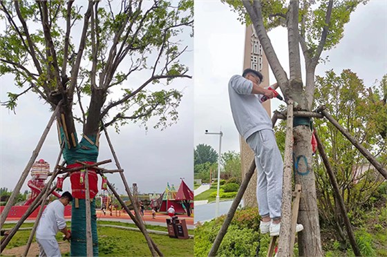 吊針液公園復(fù)壯1