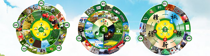 理念優(yōu)勢 理念優(yōu)勢