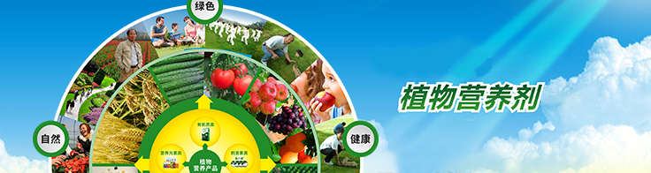 品牌優(yōu)勢 品牌優(yōu)勢