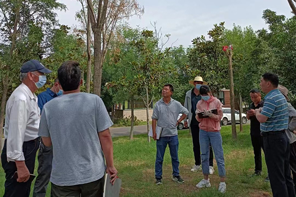 2022.7月汝州濱河公園項目