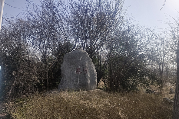 20230308河南一電力公司苗圃指導(dǎo)-2 20230308河南一電力公司苗圃指導(dǎo)-2