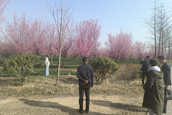 20230308河南一電力公司苗圃指導(dǎo)-11 20230308河南一電力公司苗圃指導(dǎo)-11