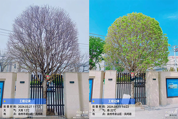 吊針液對(duì)比1