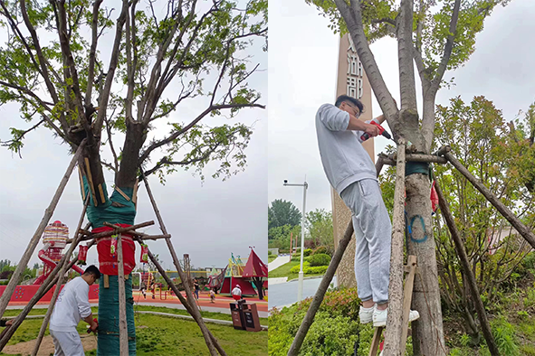 吊針液公園復(fù)壯1