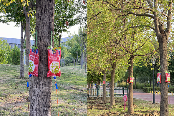 吊針液公園復(fù)壯2