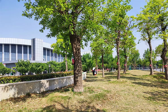 吊針液公園復(fù)壯3