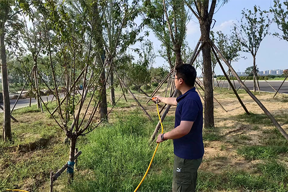 現(xiàn)場指導(dǎo)4