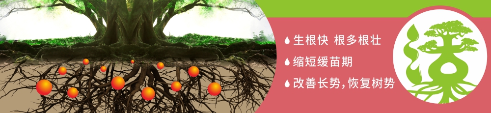 從“根”上控制成本