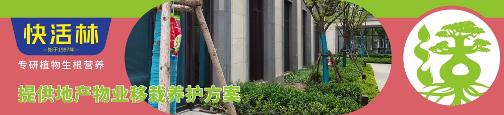 快活林地產(chǎn)物業(yè)移栽養(yǎng)護(hù)方案