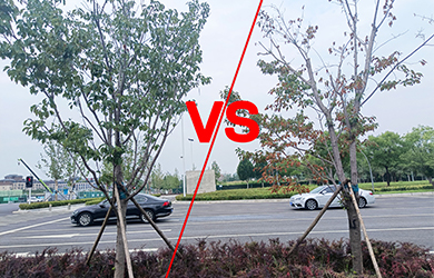 抗蒸對(duì)比2 抗蒸對(duì)比2