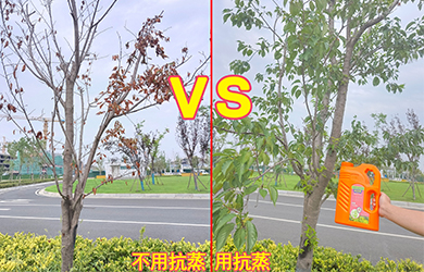 抗蒸對(duì)比3 抗蒸對(duì)比3