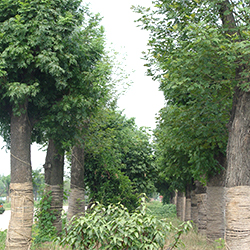 潤萬物1 潤萬物1