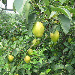 潤萬物2 潤萬物2