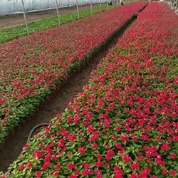 潤萬物3 潤萬物3