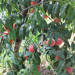 潤萬物5 潤萬物5