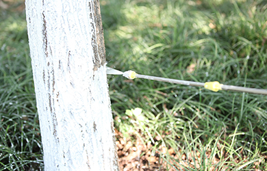 涂白劑粉1 涂白劑粉1