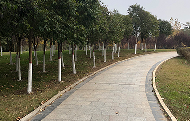 涂白劑粉2 涂白劑粉2