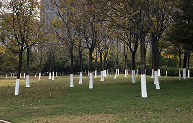 涂白劑粉4 涂白劑粉4